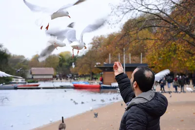 DSC_0660 (Large).JPG